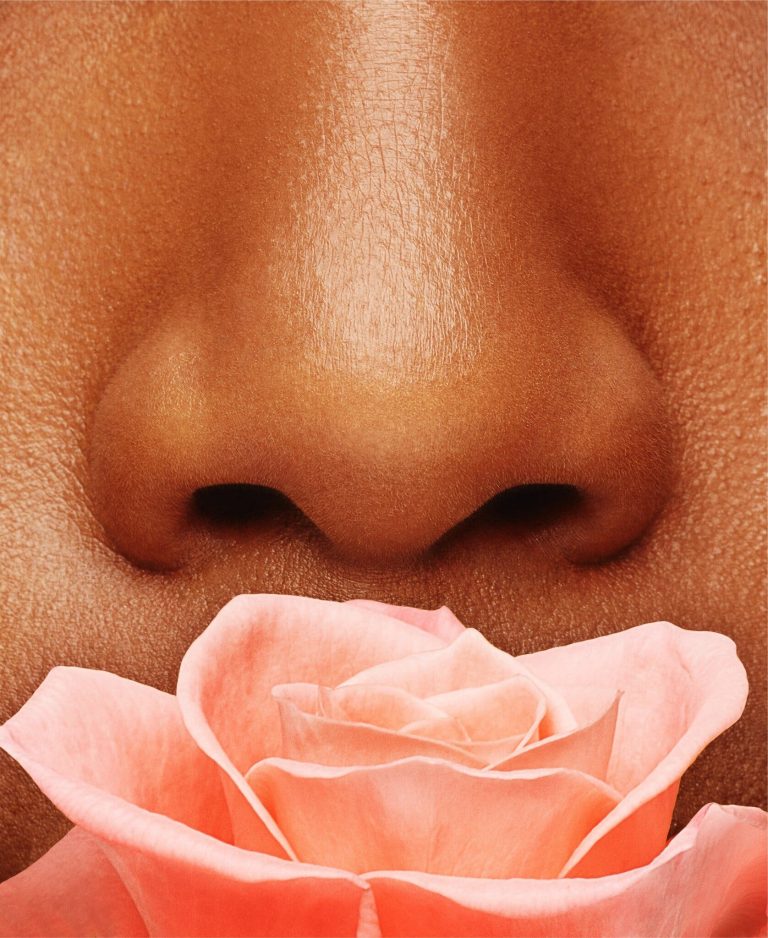 what-the-nose-knows-the-underappreciated-olfactory-sense-new-york